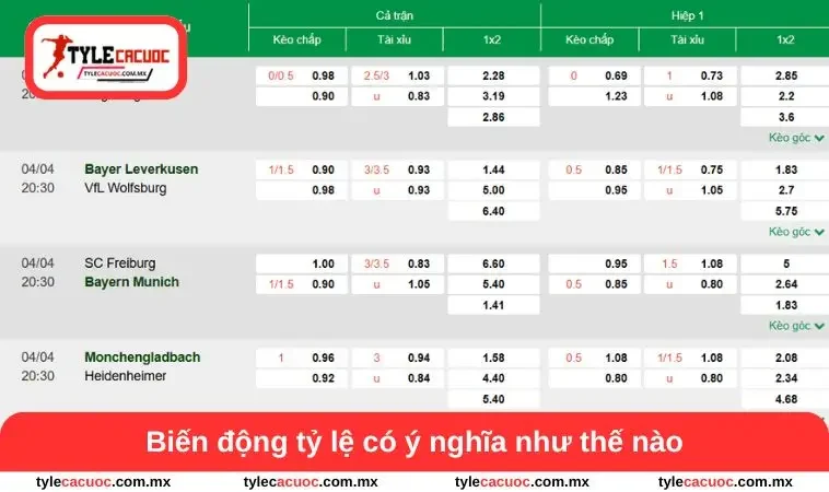 Câu hỏi thường gặp 2 Biến động tỷ lệ có ý nghĩa như thế nào