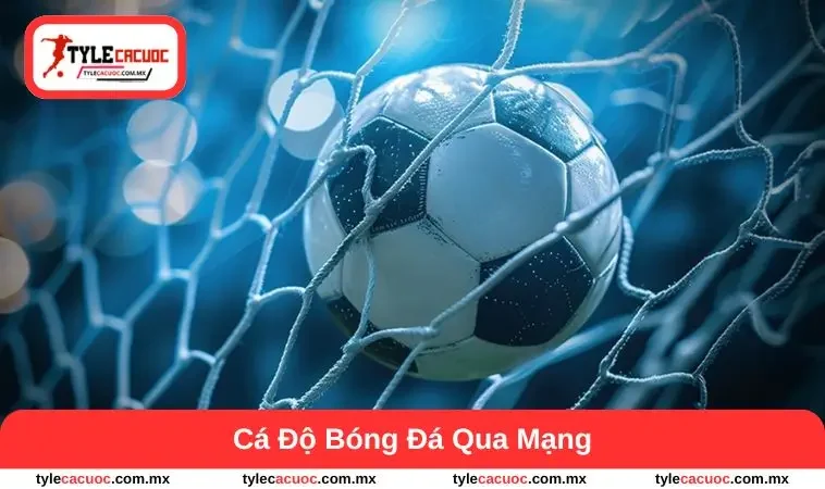 cá độ bóng đá qua mạng