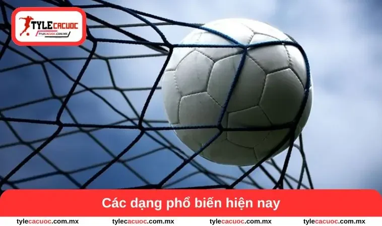 Kèo Bóng Cỏ - Cách Tham Khảo Tỷ Lệ Và Biến Động Trận Đấu 2 Các dạng phổ biến hiện nay
