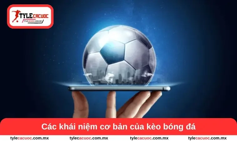 Cách Đọc Kèo Bóng Đá Giúp Nâng Kỹ Năng Phân Tích Trận Đấu 1 Các khái niệm kèo bóng đá