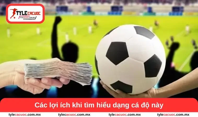 Cá Độ Bóng Đá Qua Mạng - Tổng Quan Lợi Ích Và Lưu Ý Cần Biết 2 Các lợi ích khi tìm hiểu dạng cá độ này