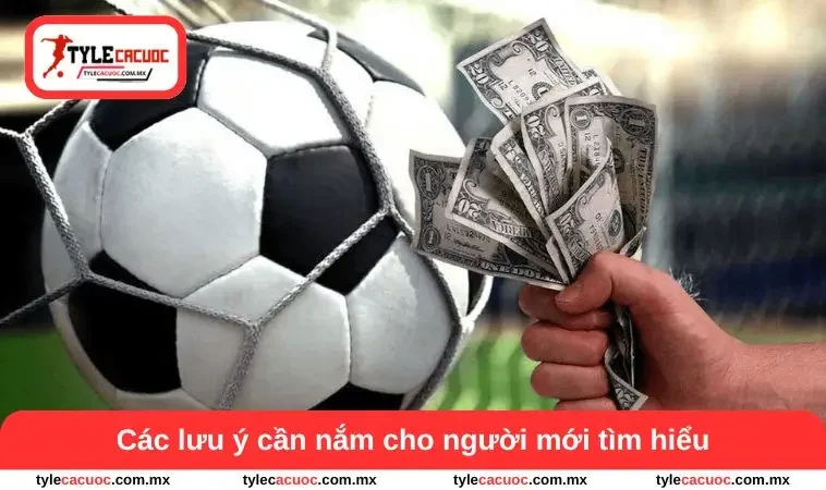 Cá Độ Bóng Đá Qua Mạng - Tổng Quan Lợi Ích Và Lưu Ý Cần Biết 3 Các lưu ý cần nắm cho người mới tìm hiểu