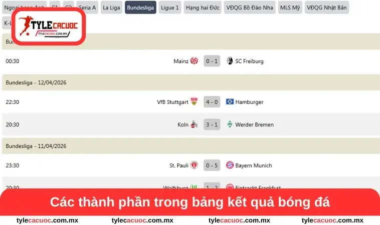 Kết quả bóng đá 1 Các thành phần trong KQBĐ