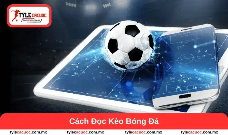 cách đọc kèo bóng đá