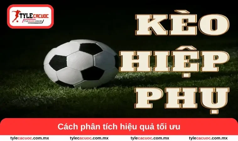 Cách phân tích hiệu quả tối ưu
