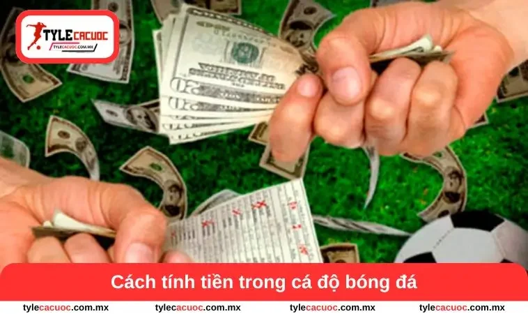 cách tính tiền trong cá độ bóng đá
