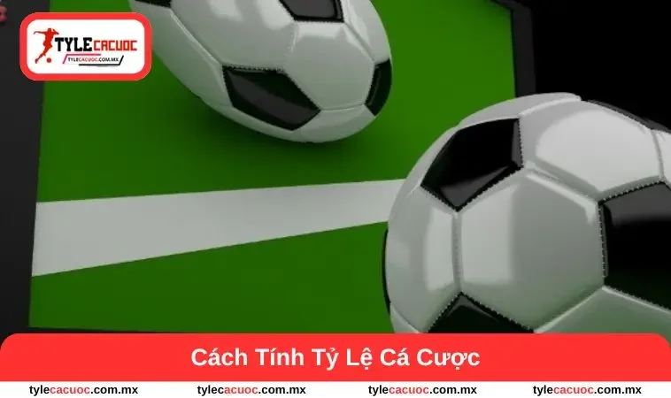 cách tinh tỷ lệ cá cược