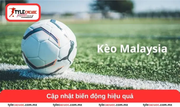Cập nhật biến động hiệu quả