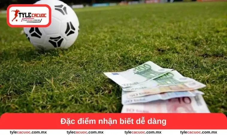 Đặc điểm nhận biết dễ dàng