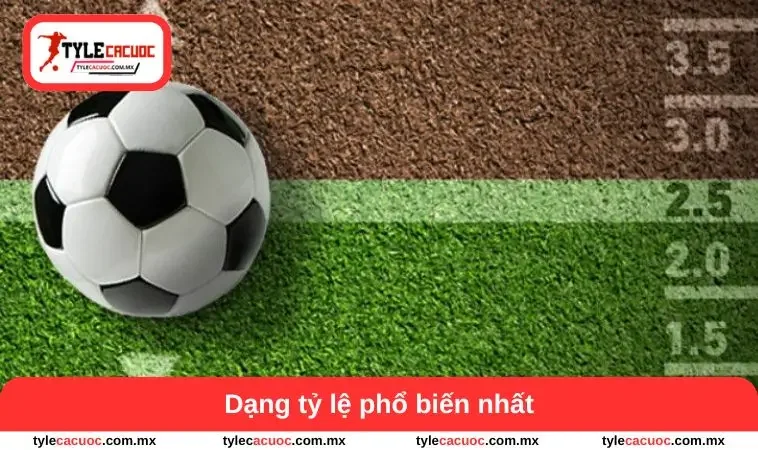 Cách Tính Tỷ Lệ Cá Cược Chuẩn Xác – Bí Quyết Đọc Kèo Tối Ưu 1 Dạng tỷ lệ phổ biến nhất