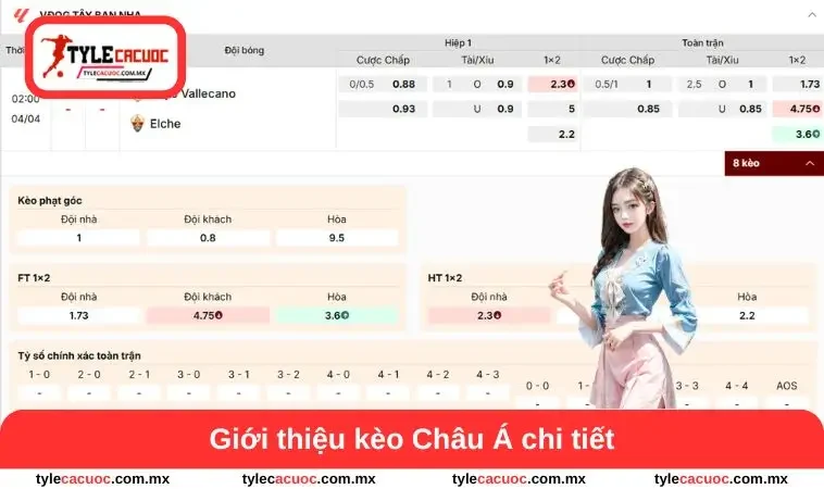 Giới thiệu kèo Châu Á chi tiết