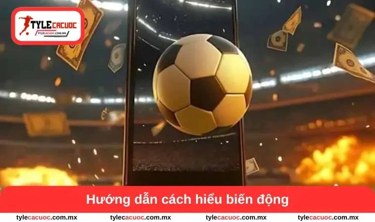 Kèo Chấp 0.5 - Cách Đọc Biến Động Và Hiểu Tình Hình Lực Lượng 2 Hướng dẫn cách hiểu biến động