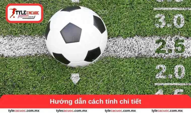 Cách Tính Tỷ Lệ Cá Cược Chuẩn Xác – Bí Quyết Đọc Kèo Tối Ưu 2 Hướng dẫn cách tính chi tiết