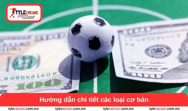 Cách Tính Tiền Trong Cá Độ Bóng Đá - Bí Quyết Hiểu Tỷ Lệ 1 Hướng dẫn chi tiết các loại cơ bản