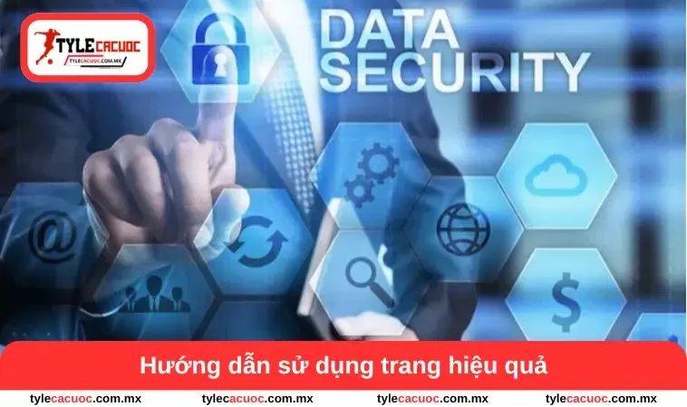 Hướng dẫn dùng trang web hiệu quả