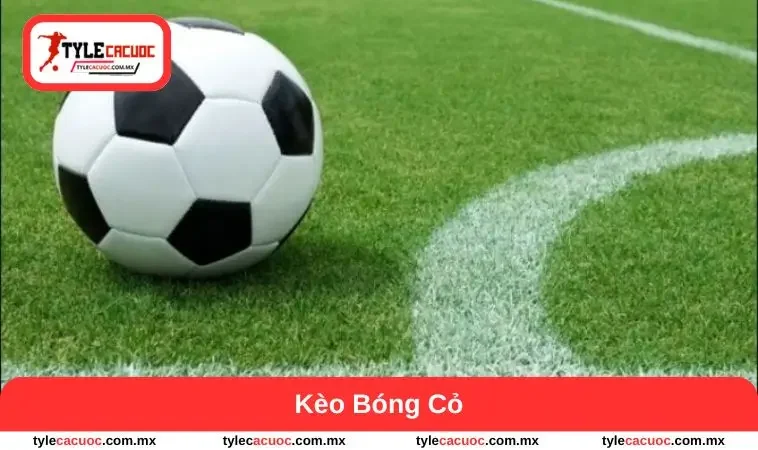 kèo bóng cỏ