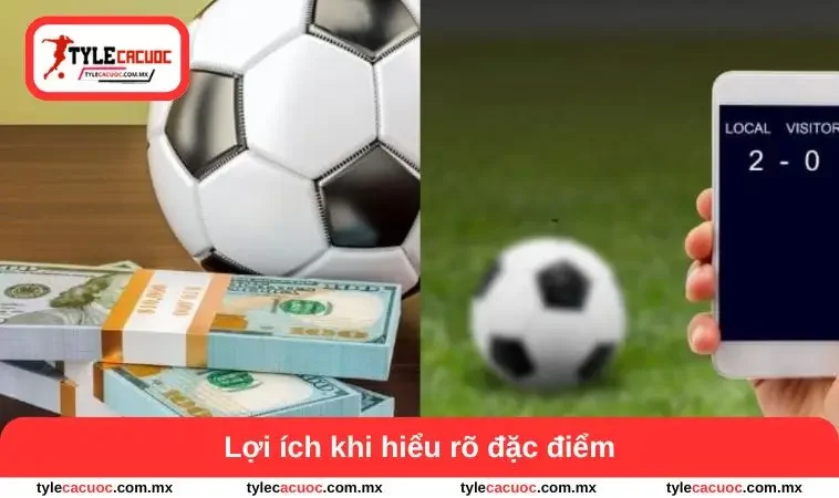 Lợi ích khi hiểu rõ đặc điểm