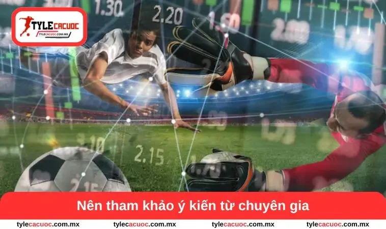 Cách Bắt Kèo Bóng Đá Không Thua - Bí Quyết Phân Tích 2 Nên tham khảo ý kiến các chuyên gia