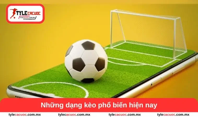 Tỷ Lệ Cá Cược Bóng Đá – Ý Nghĩa Và Cách Hiểu Cho Người Mới 2 Những dạng kèo phổ biến