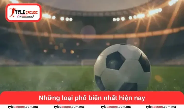 Kèo Xiên - Tổng Hợp Trận Đấu Để Nắm Bắt Chiến Thuật Bóng Đá 2 Những loại phổ biến nhất