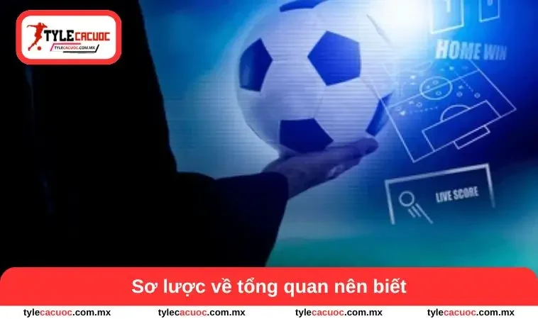 Sơ lược về tổng quan nên biết