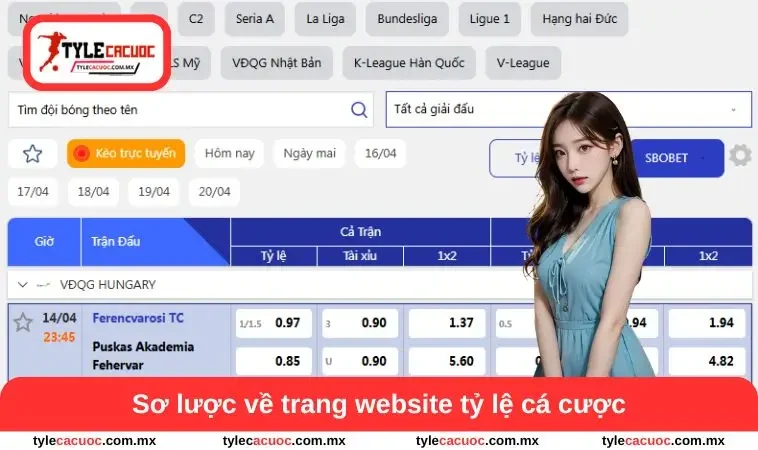 Sơ lược về trang website tỷ lệ cá cược