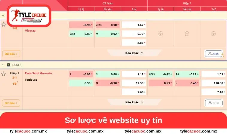 Sơ lược về website uy tín