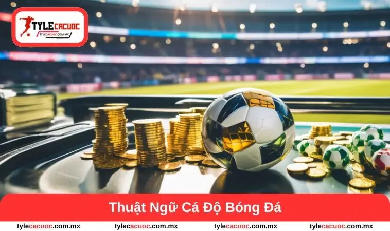 thuật ngữ cá độ bóng đá