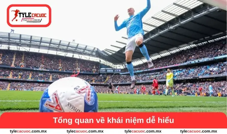 Hat Trick Là Gì – Tìm Hiểu Những Pha Ghi Bàn Kinh Điển 1 Tổng quan về khái niệm dễ hiểu