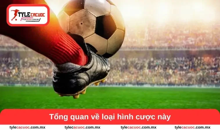Kèo Chấp 0.5 - Cách Đọc Biến Động Và Hiểu Tình Hình Lực Lượng 1 Tổng quan về loại hình cược này