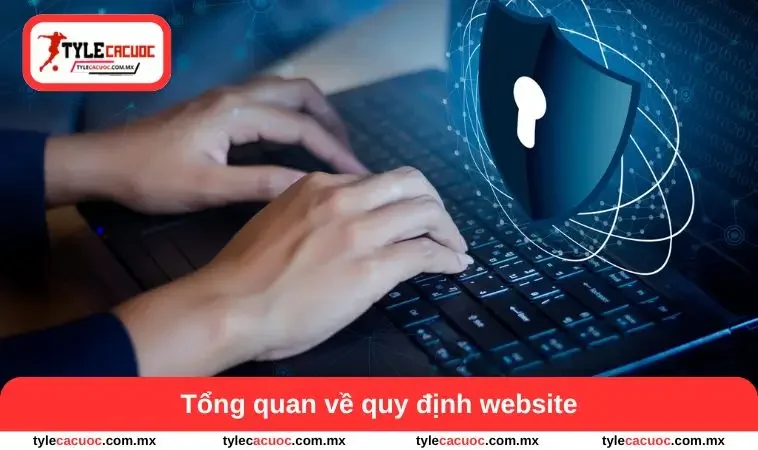 Tổng quan về quy định website