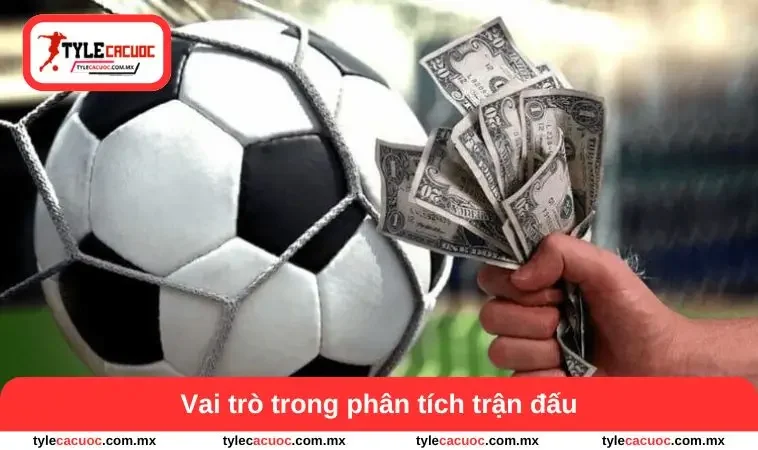 Vai trò phân tích trận đấu