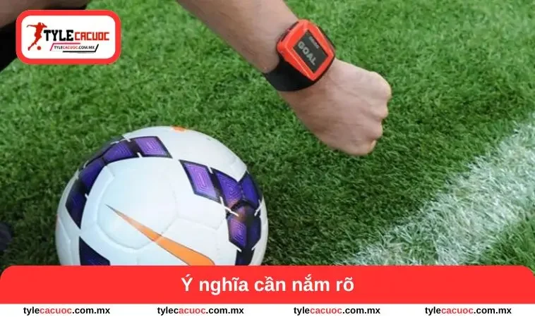 Ý nghĩa cần nắm rõ
